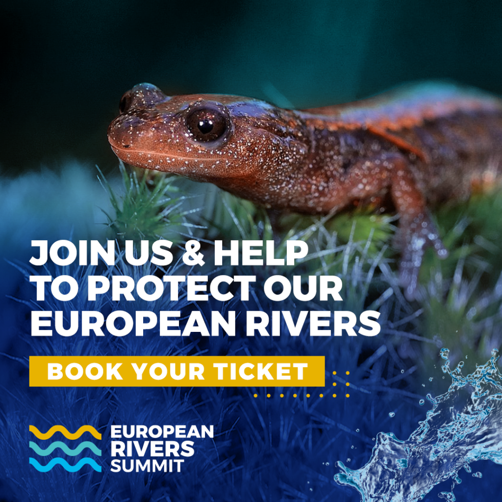European Rivers Summit 2021 Social Media Post. Download our Media Kit to help us share the European Rivers Summit 2021 content on your social media and other platforms.