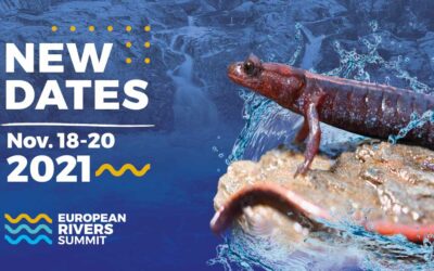 European Rivers Summit postponed to November 2021 due to Coronavirus
