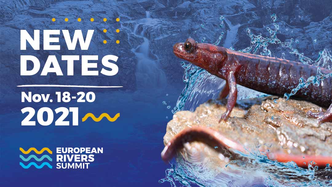 European Rivers Summit postponed to November 2021 due to Coronavirus