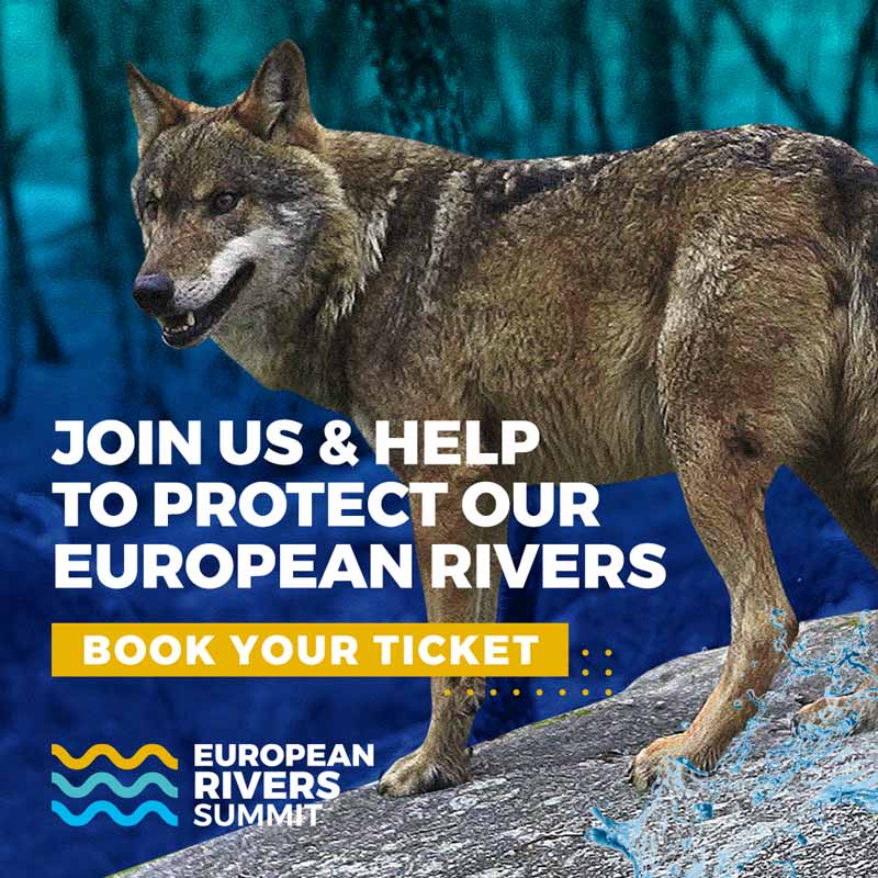 European Rivers Summit 2021 Social Media Post. Download our Media Kit to help us share the European Rivers Summit 2021 content on your social media and other platforms.