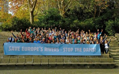 Review the 2nd European Rivers Summit 2021